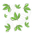 Illustration and hand drawn of green leaf pattern background