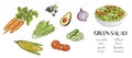 Illustration of hand drawn green salad ingredients: