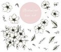 Hand drawn ink botanical line art collection isolated on white, vintage set of floral elements great for designs, black ink sketch Royalty Free Stock Photo