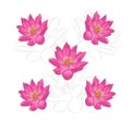 Illustration and hand drawn of lotus pattern background