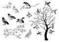 Sketch birds and trees isolaed