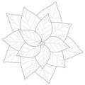 Illustration of hand-drawn poinsettia, vector material.