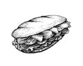 Hand Drawn of Baguette Sandwich on White Background