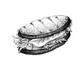 Hand Drawn of Grilled Sandwich on White Background Royalty Free Stock Photo