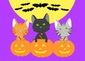 Cartoon kittens with pumpkin jack-o-lanterns and bats flying behind