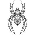 Hand drawn of spider in zentangle style Royalty Free Stock Photo