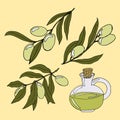 illustration, hand drawn sprigs with olives and a bottle of olive oil