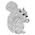 Hand drawn of squirrel in zentangle style