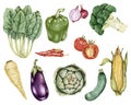 Illustration of Hand drawn vegetable collection