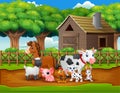 Happy animals farm outside the cage