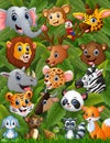 Happy animals forest together Royalty Free Stock Photo