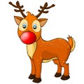 Illustration of a happy cartoon Christmas red nose reindeer Rudolph. Vector character. Royalty Free Stock Photo