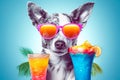 Illustration of happy dog wearing sunglasses with cocktail. Funny humorous banner, summer holidays