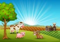 Happy farm animals in the morning Royalty Free Stock Photo