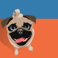 Illustration of a happy funny Pug dog.