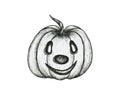 Happy Halloween Pumpkin Line Art Drawing Isolated On White, Vintage Fall Design With Black And White Pumpkin, Halloween Pumpkin