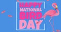 Illustration of happy national bird day text in frame with flamingo and feathers on blue background Royalty Free Stock Photo