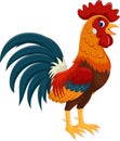 Illustration of happy rooster cartoon