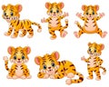 Happy tiger cartoon set collection