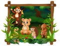 Happy wild animals in frame square forest Royalty Free Stock Photo