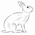 Illustration of hare , vector draw