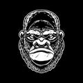 Illustration of head of angry ape in vintage monochrome style. Design element for logo, emblem, sign, poster, card Royalty Free Stock Photo