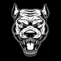 Illustration of head of angry pitbull in vintage monochrome style. Design element for logo, emblem, sign, poster, card