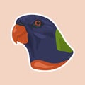 Illustration of the head of a Blue Green and Orange Parrot using hand drawn technique