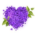 Illustration of a heart filled with lilac flowers