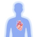 Illustration with heart internal organ. Human body anatomy. Health care and medical image.