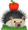 Illustration Hedgehog carry red apple on the back Royalty Free Stock Photo