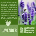 herbalist advise in natural remedies of Lavender benefits