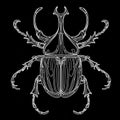 An illustration of a Hercules beetle in black and white, set against a dark background. Royalty Free Stock Photo