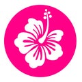 Hibiscus pink circle icon