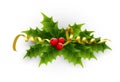 Illustration of a holly berries and tinsel on a white background.