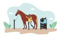 Illustration of a horse cleaning. A woman is cleaning a horse. Girl washes a horse