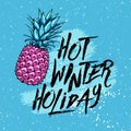 Illustration hot winter holiday with pineapple on a blue background. Design elements.