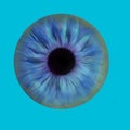 Glossy eye ball Royalty Free Stock Photo