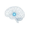 A human brain with integrated circuit patterns symbolizing artificial Royalty Free Stock Photo