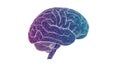 Illustration of a human brain in side view created with a wireframe Royalty Free Stock Photo
