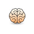 Illustration of human brain on white background Royalty Free Stock Photo