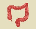 Illustration of human digestive system, colon, gut Royalty Free Stock Photo