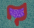 Illustration of human digestive system, colon, gut Royalty Free Stock Photo