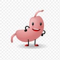 Illustration of Human Internal Stomach Anatomy character