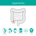 Illustration Of Human Intestine, Outline And Appendicitis Symptom Icons