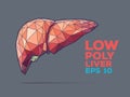 Liver poly faceted Royalty Free Stock Photo