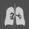 Illustration of human respiratory tract system on black background Royalty Free Stock Photo