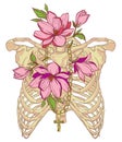 Illustration of a human rib cage with magnolias