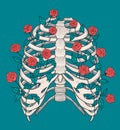 Illustration of human rib cage with roses. Line art style. Boho vector