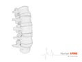 Illustration of Human spine abstract scientific background Royalty Free Stock Photo